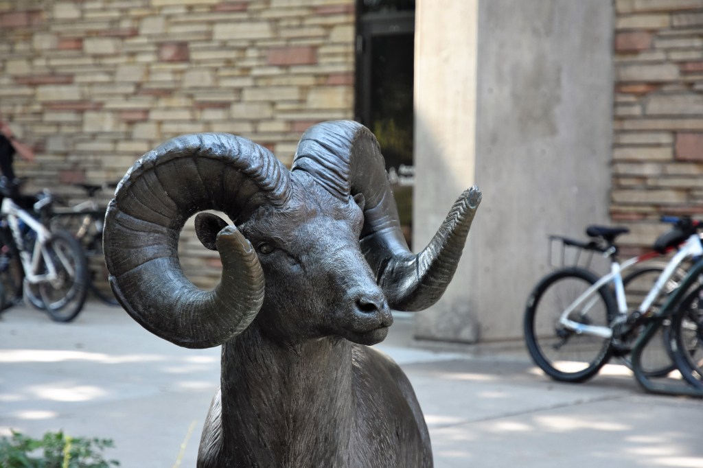 Ram sculpture on campus